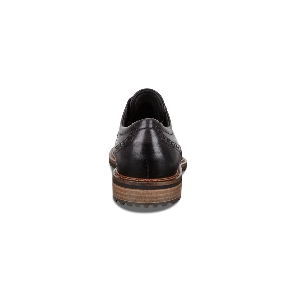 Zapatos De Vestir Hombre - ECCO Vitrus I Wing Tip Tie - Marrom - QTC421693